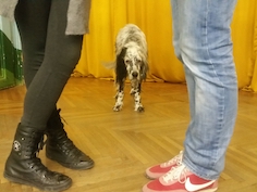 ples, plesni tečaj, plesna poduka - Plesna škola Institut argentinskog tanga Zagreb